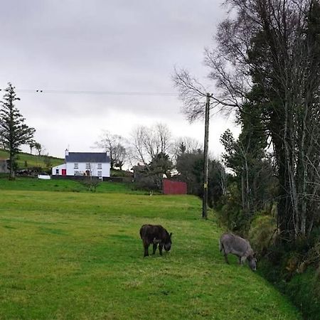 Meenadreen Cottage Donegal Town Екстер'єр фото
