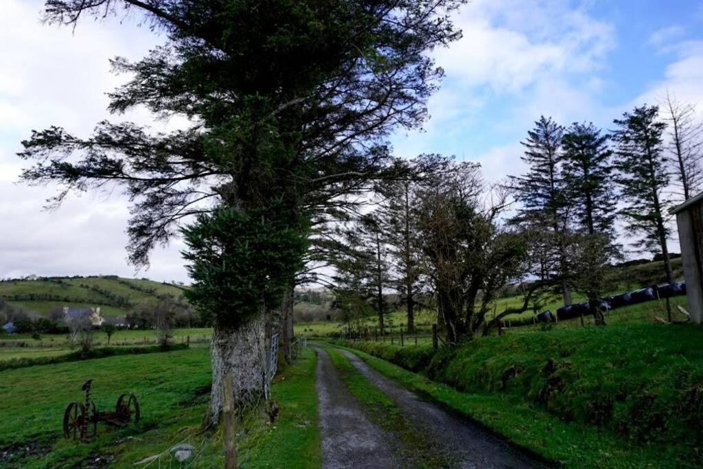 Meenadreen Cottage Donegal Town Екстер'єр фото