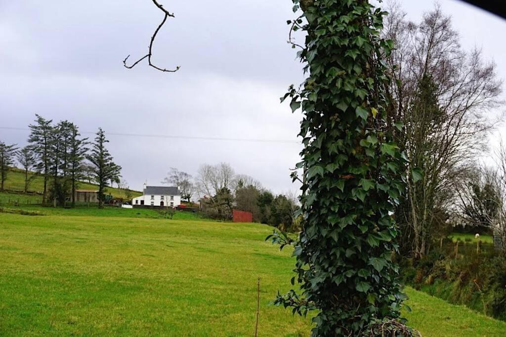 Meenadreen Cottage Donegal Town Екстер'єр фото