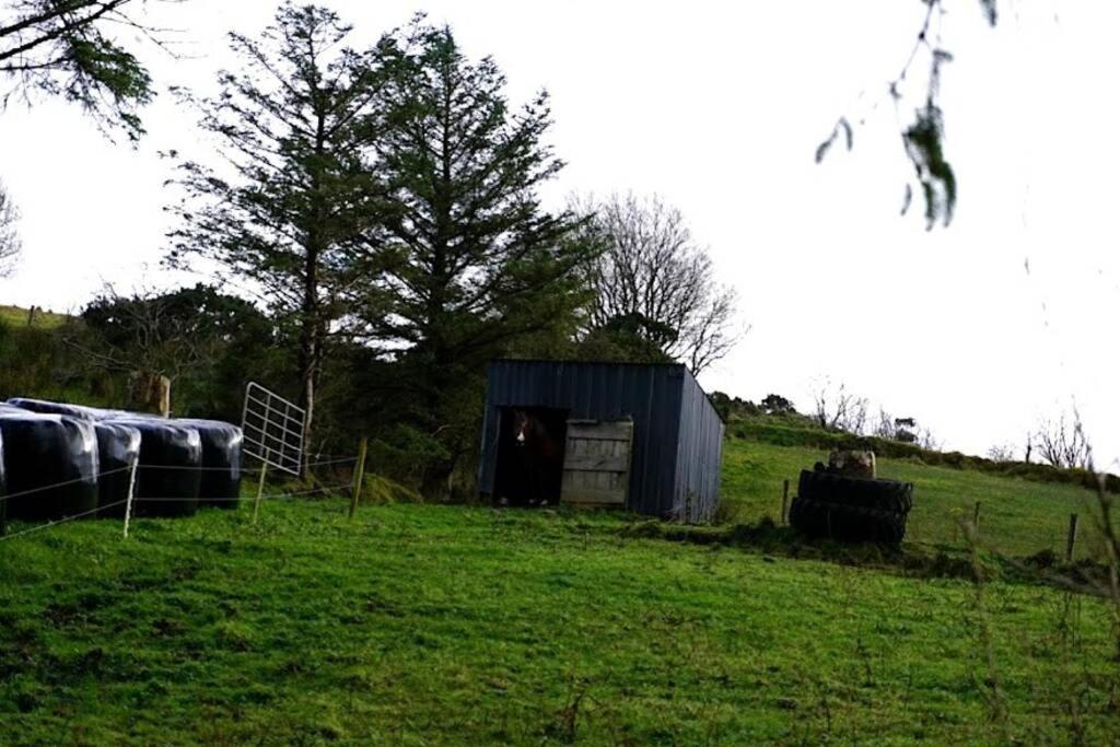 Meenadreen Cottage Donegal Town Екстер'єр фото