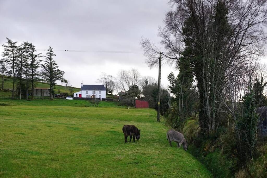 Meenadreen Cottage Donegal Town Екстер'єр фото